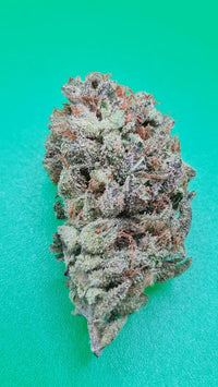 Auto Zkittlez 36 (Auto-Fem)