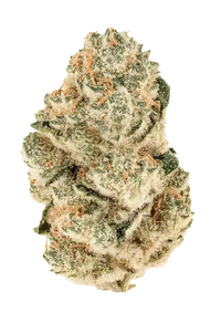 Gorilla Melon