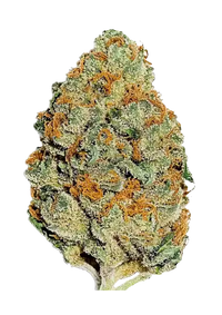 Lemon Mandarin