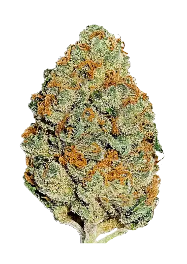 Lemon Mandarin