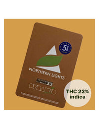 Northern Lights