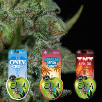 PACK CBD LOVERS 1