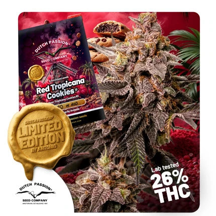Red Tropicana Cookies