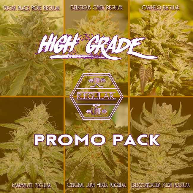 HIGH GRADE REGULAR PROMO PACK