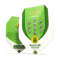 Royal AK Auto