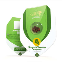 Royal Cheese Auto