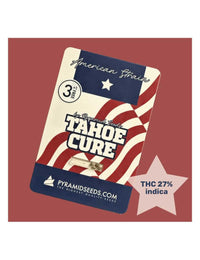 Tahoe Cure
