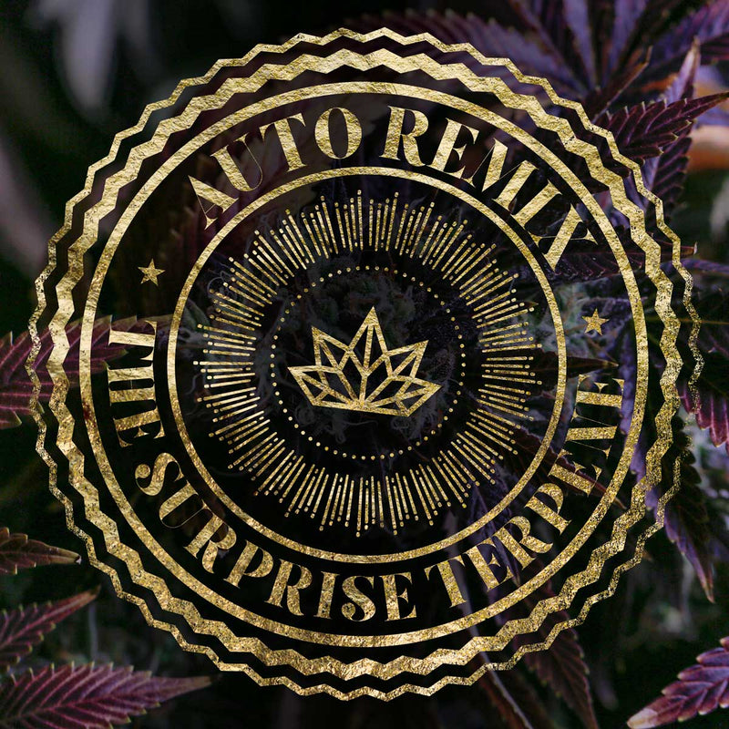 The Surprise Terpene