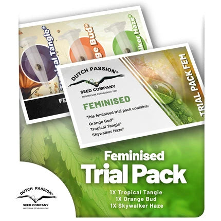 Pacchetto di prova Feminised