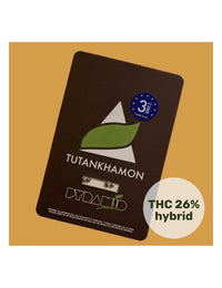 Tutankhamon