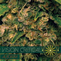 Vision Critical – AutoFem