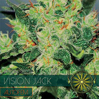 Vision Jack – AutoFem