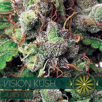 Vision Kush – AutoFem