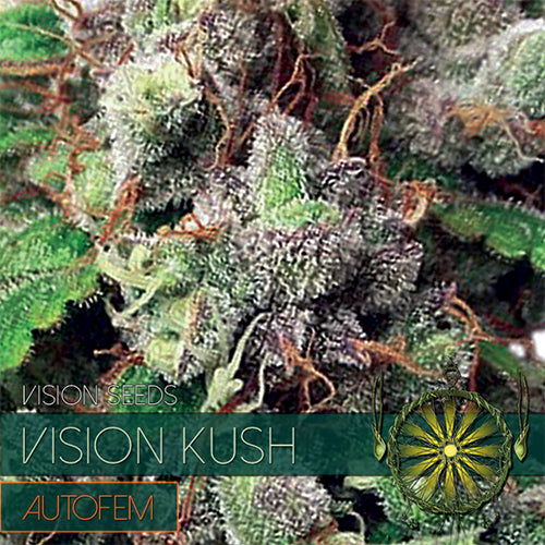 Vision Kush – AutoFem