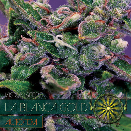 La Blanca Gold AutoFem